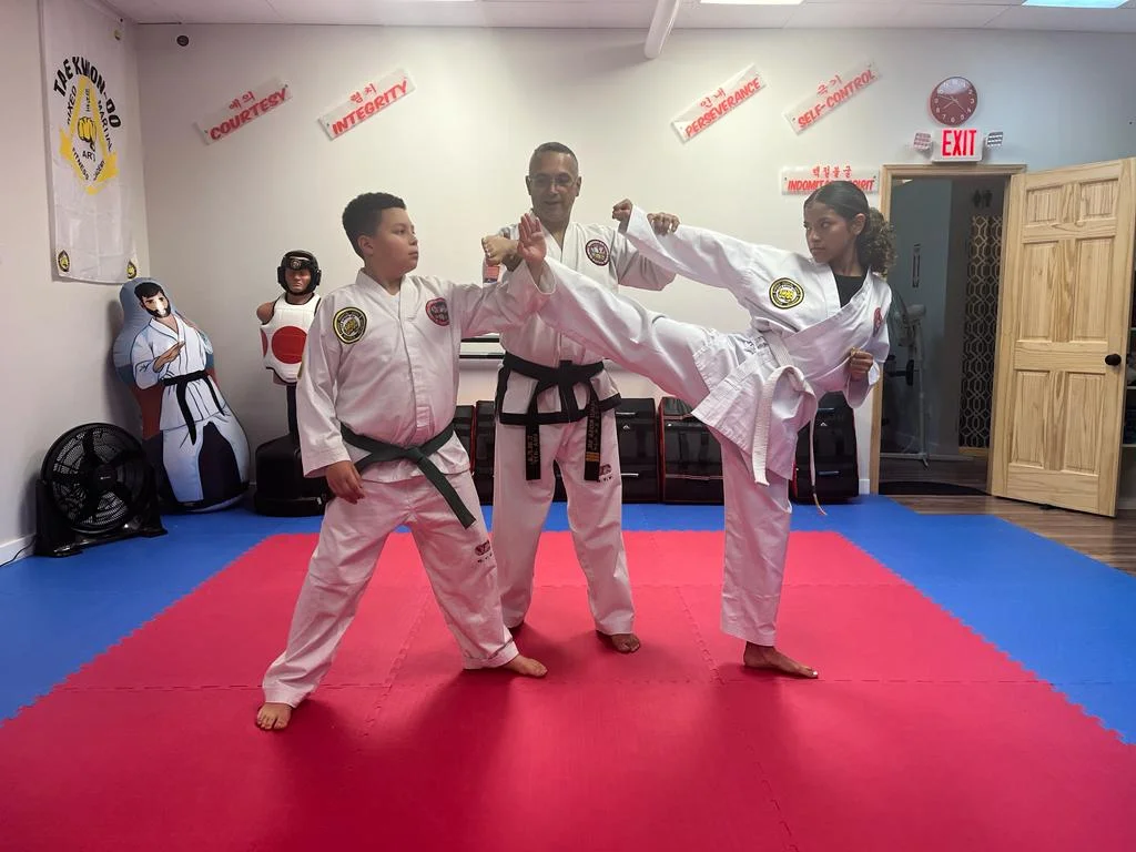 Taekwon-Do Mixed Martial Arts Fitness Academy (T.M.F.A.) academy photo