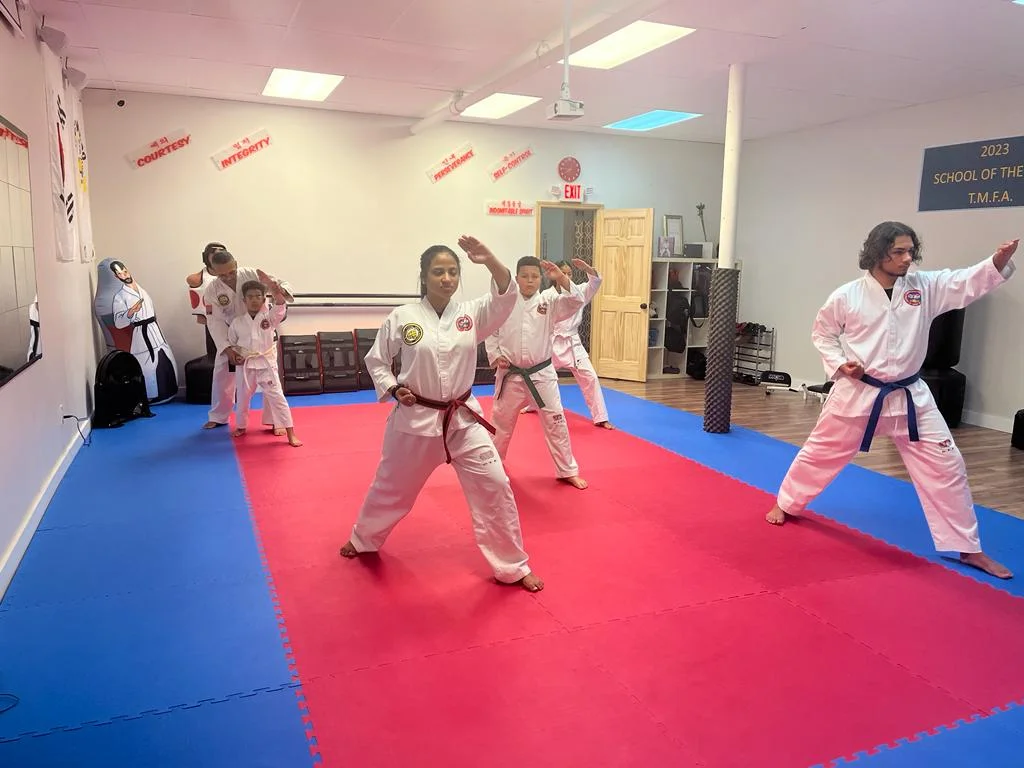 Taekwon-Do Mixed Martial Arts Fitness Academy (T.M.F.A.) academy photo