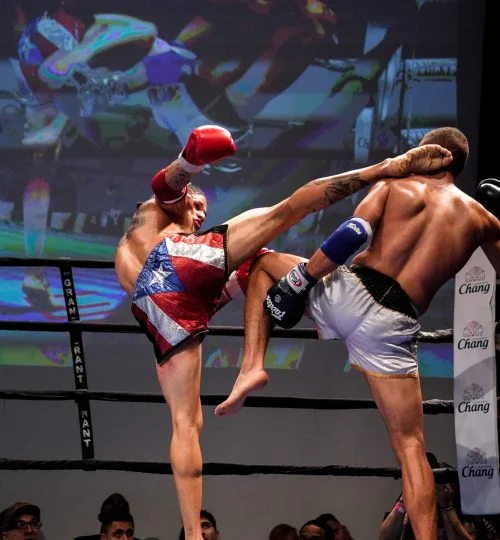 Team Taino Martial Arts & Fitness facility image