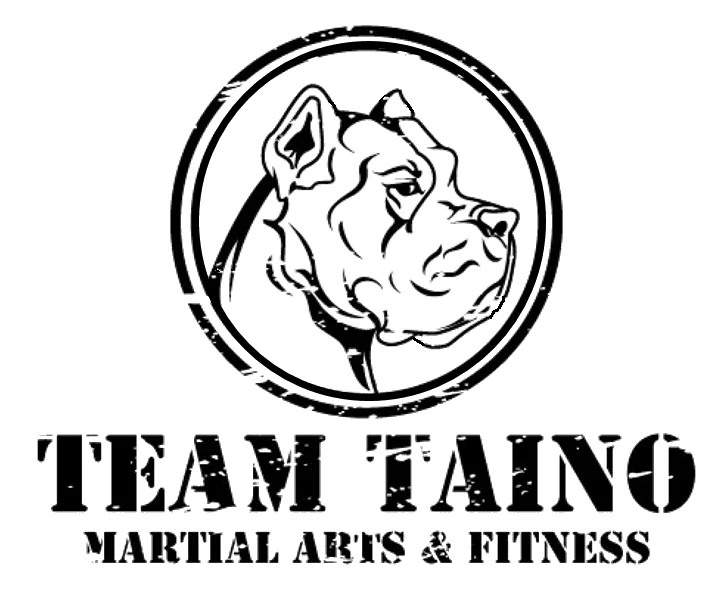 Team Taino Martial Arts & Fitness facility image