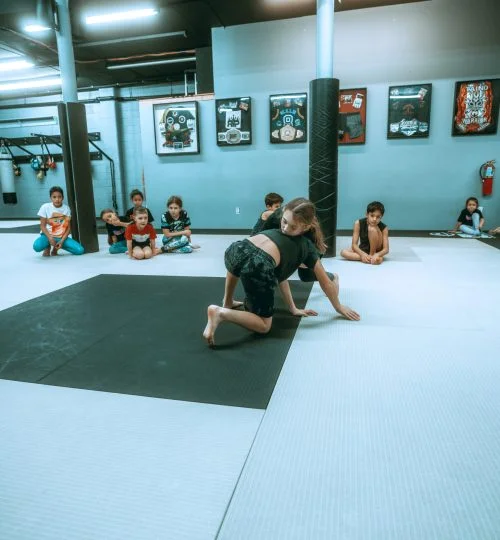 Team Taino Martial Arts & Fitness facility image