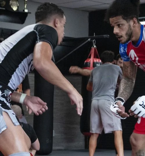 Team Taino Martial Arts & Fitness facility image
