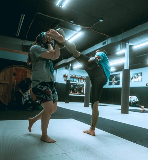 Team Taino Martial Arts & Fitness facility image