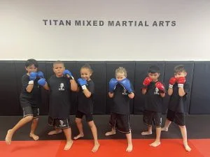 Titan Mixed Martial Arts Academy academy logo
