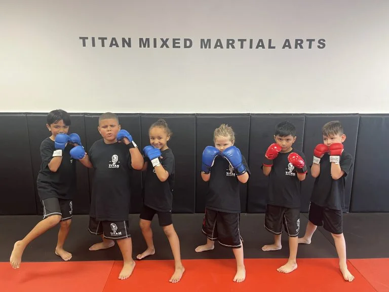 Titan Mixed Martial Arts Academy academy photo