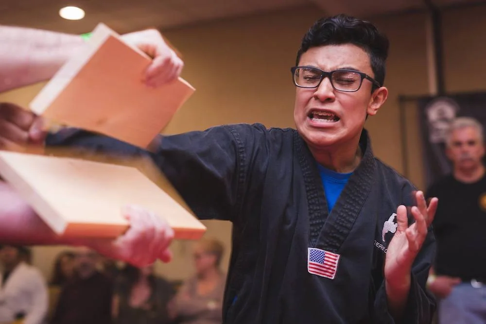 USA Karate And Fitness academy photo