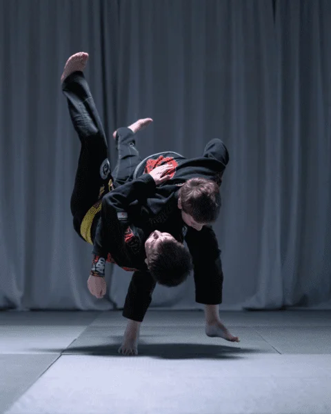 Viper’s Den Jiu-Jitsu facility image