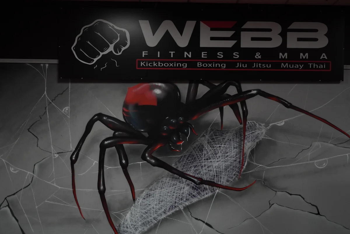Webb Fitness and MMA academy photo