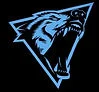 Wolf Jiu Jitsu & MMA academy logo