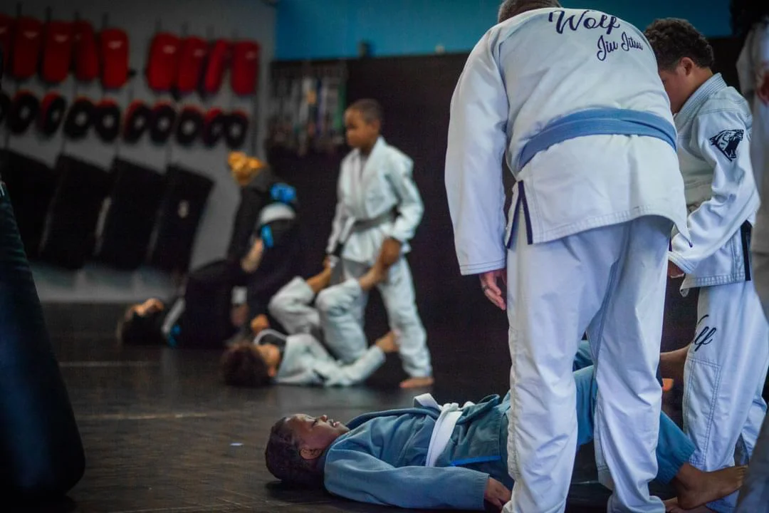 Wolf Jiu Jitsu & MMA facility image