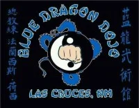 Blue Dragon Dojo academy logo