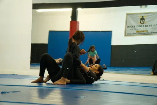 Farmington Jiu Jitsu Academy LLC facility image