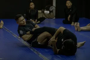 Farmington Jiu Jitsu Academy LLC facility image
