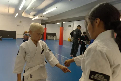 Farmington Jiu Jitsu Academy LLC facility image