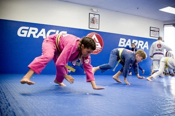 Gracie Barra Rio Rancho facility image