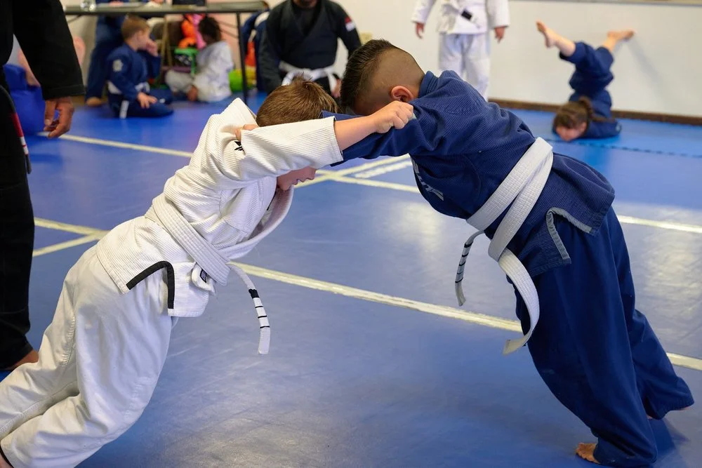 King’s Jiu Jitsu facility image