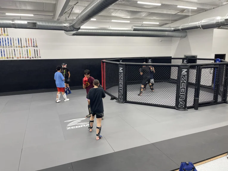Megaton Gallup Jiu-Jitsu academy photo