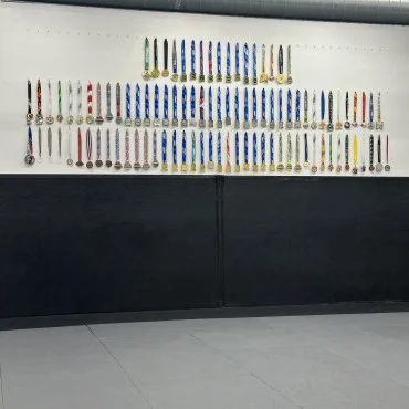Megaton Gallup Jiu-Jitsu academy photo