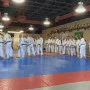 Megaton Gallup Jiu-Jitsu academy photo