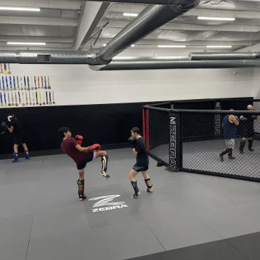 Megaton Gallup Jiu-Jitsu academy photo