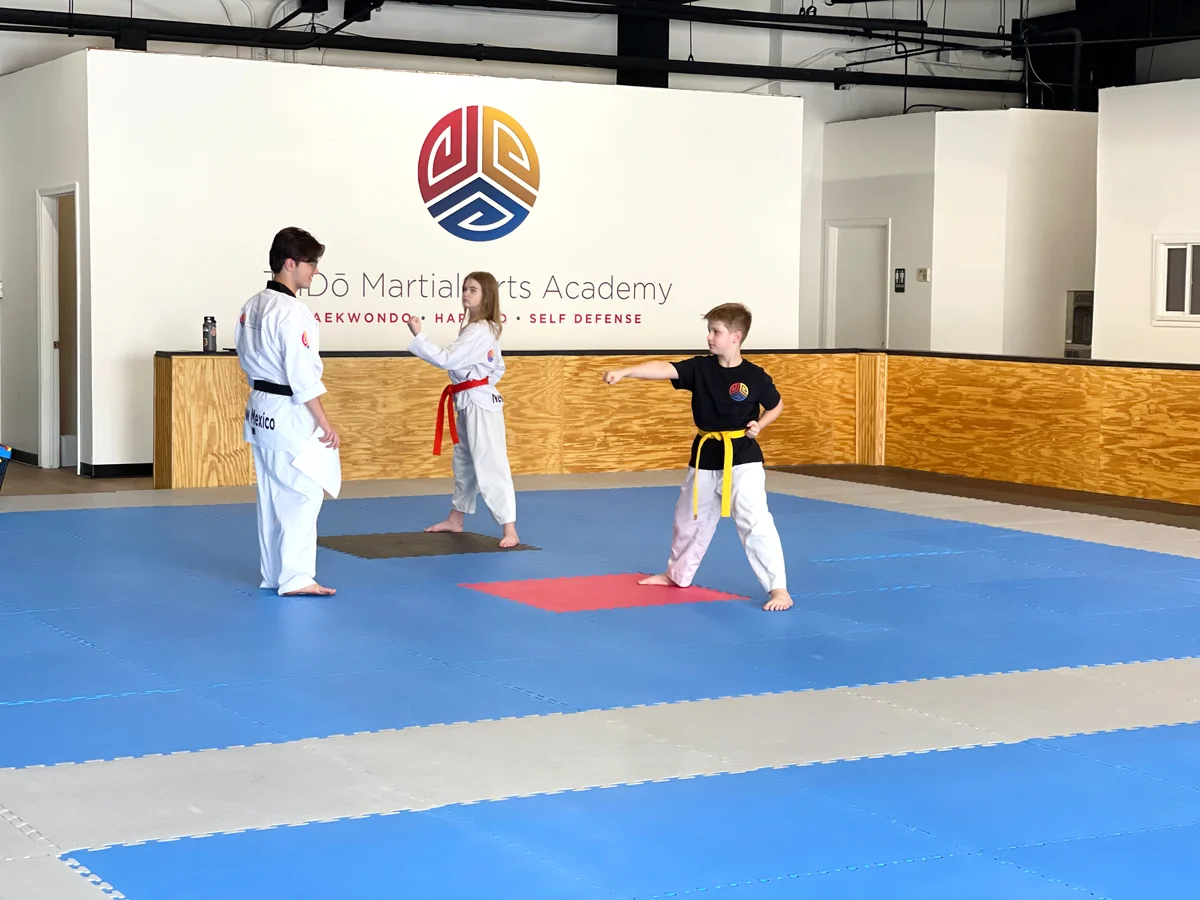 TriDō Martial Arts Academy facility image