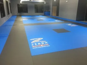 Evolution Martial Arts Academy academy photo