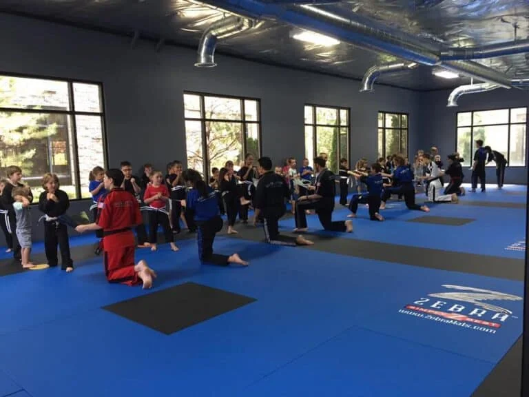 Evolution Martial Arts Academy academy photo
