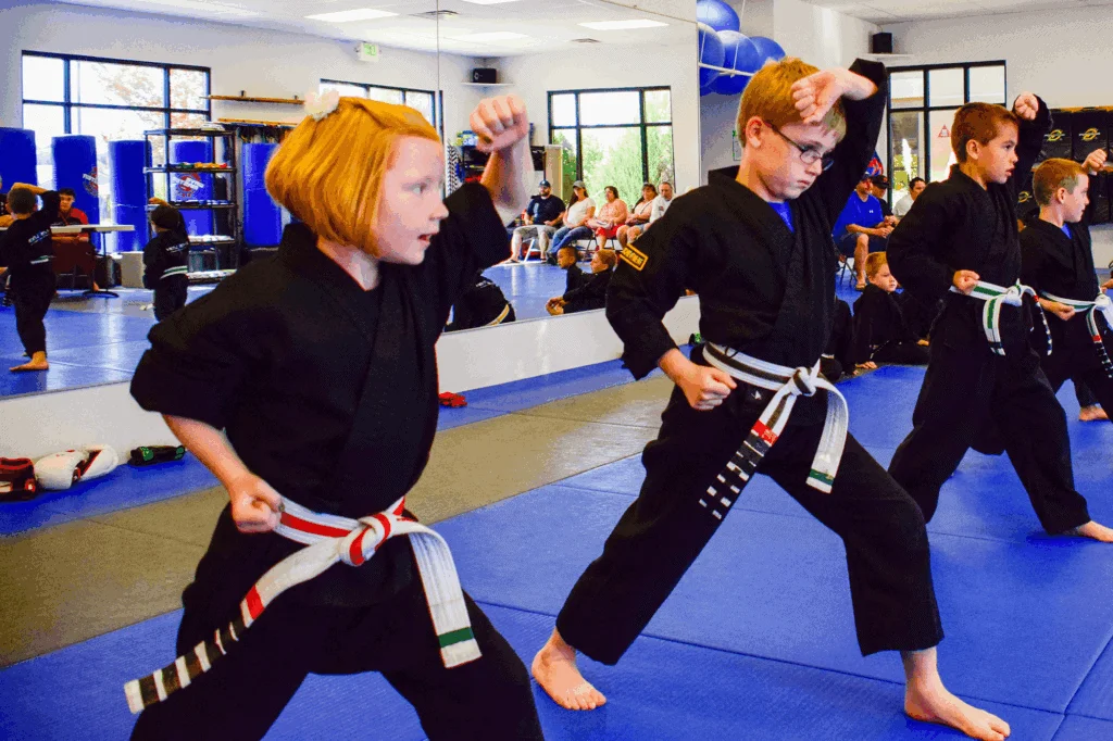 Evolution Martial Arts Academy academy photo