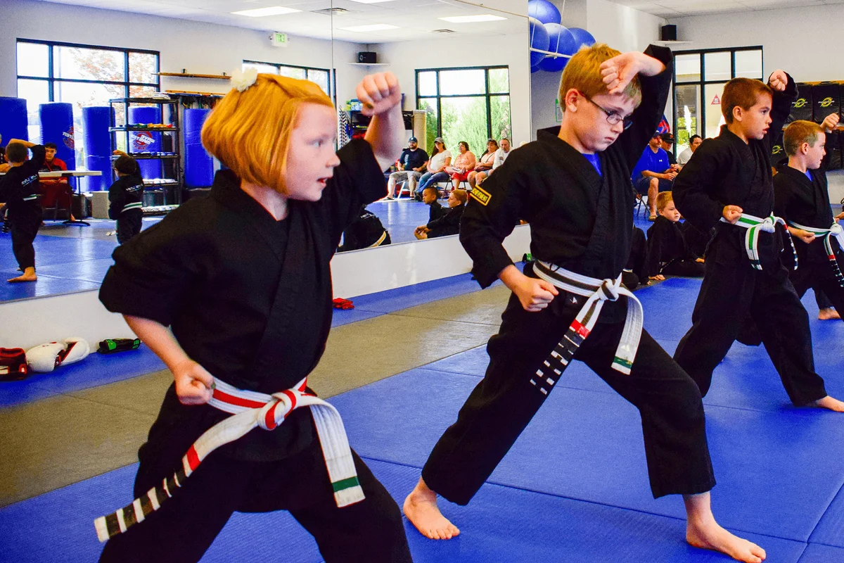Evolution Martial Arts Academy academy photo