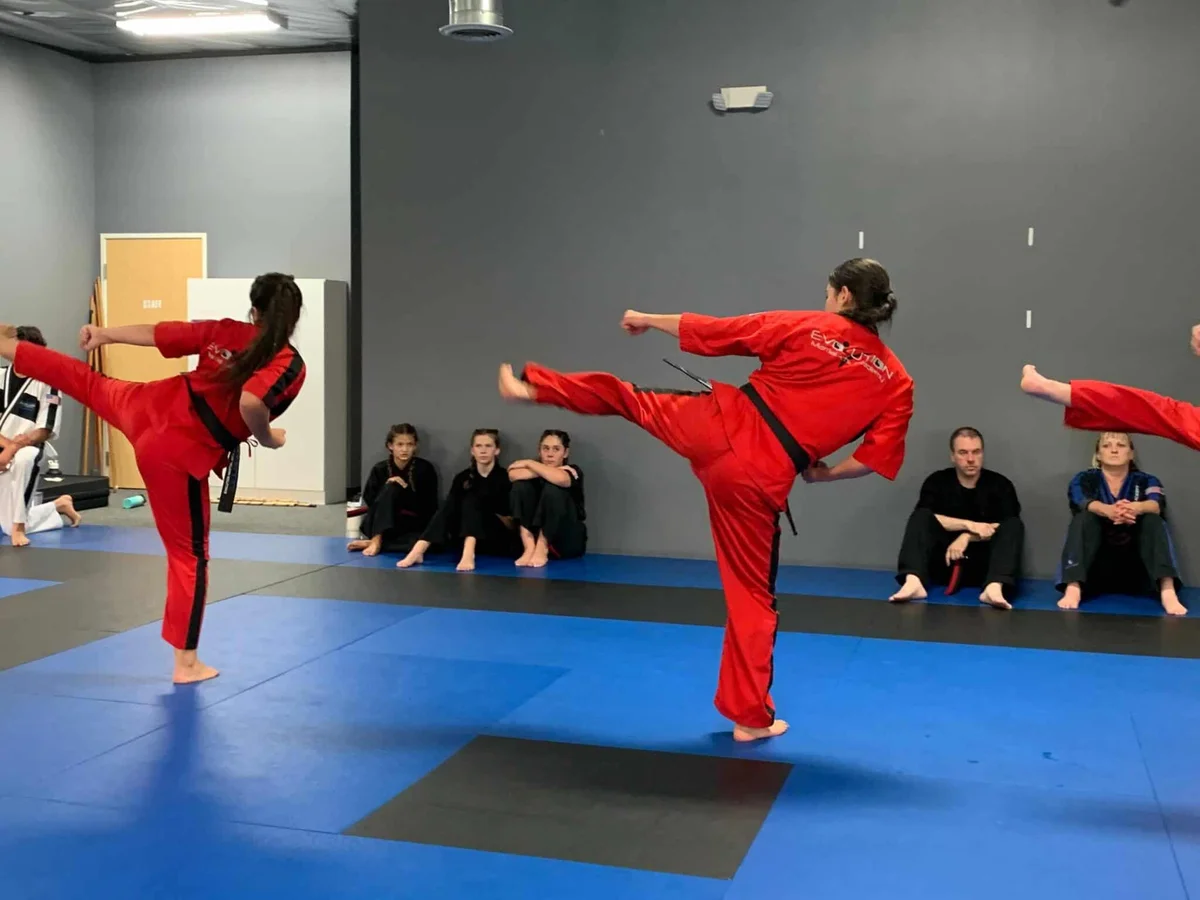 Evolution Martial Arts Academy academy photo
