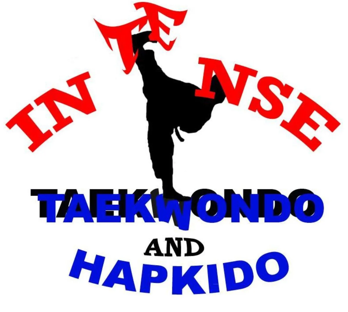 Intense Taekwondo academy logo