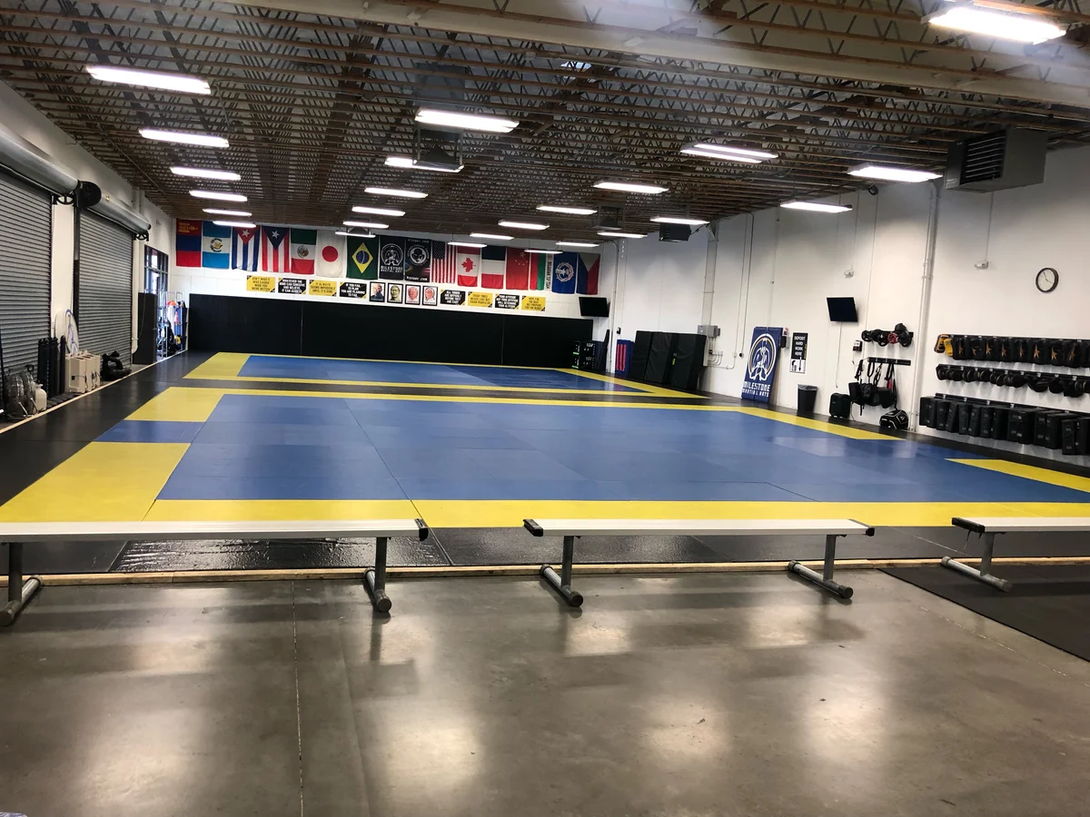 Milestone Martial Arts facility image