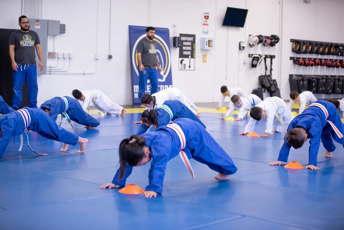Milestone Martial Arts facility image