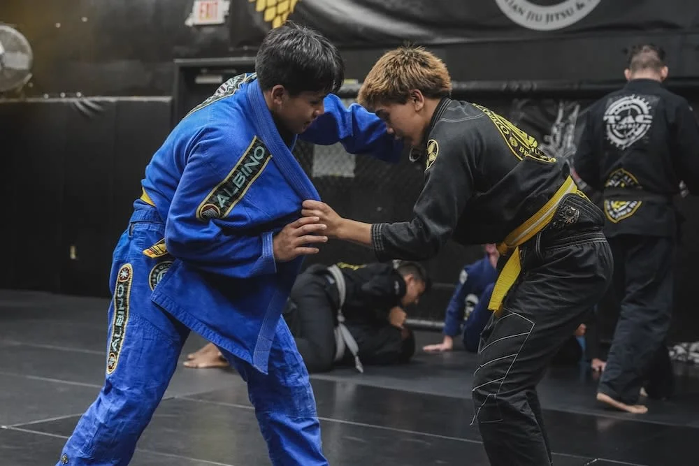 Odin's Halls Brazilian Jiu Jitsu and Fitness facility image