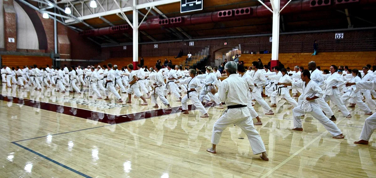 Dojo Reno academy photo