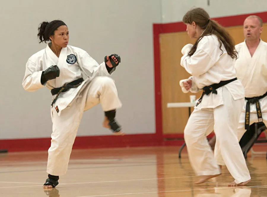 Dojo Reno academy photo
