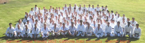 Dojo Reno academy photo