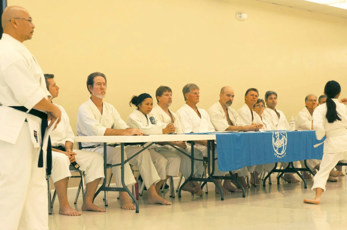 Dojo Reno academy photo