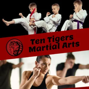 Ten Tigers Martial Arts facility image