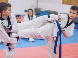 Ten Tigers Martial Arts facility image