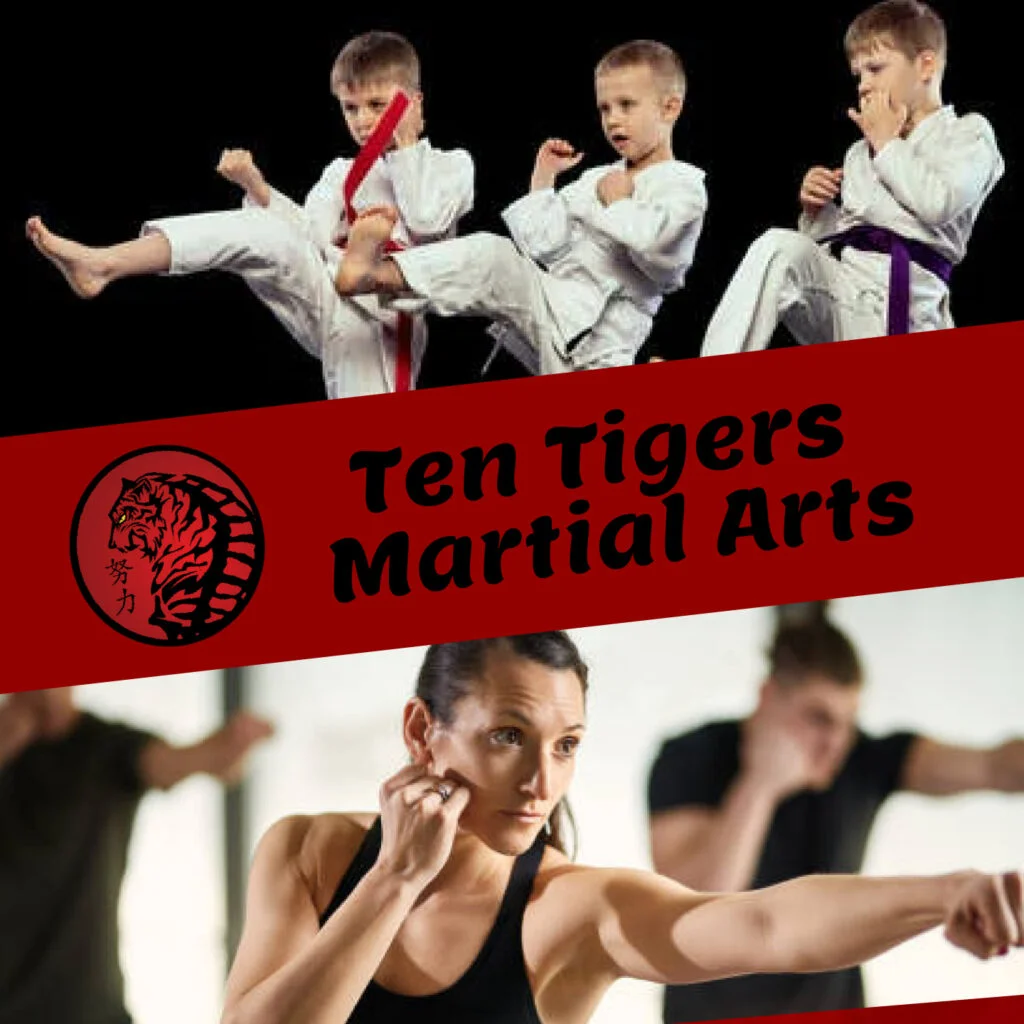 Ten Tigers Martial Arts facility image