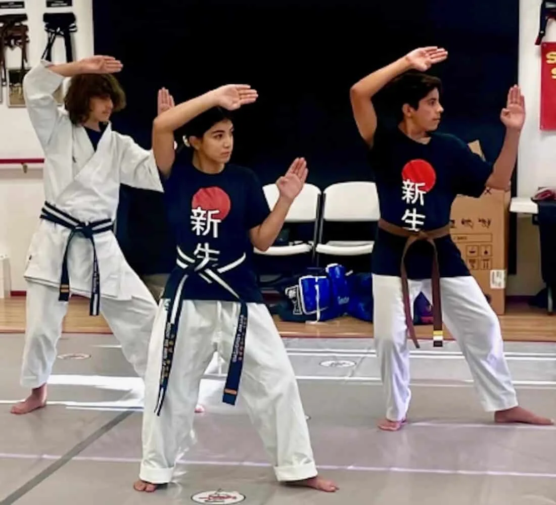 The DoJANG facility image