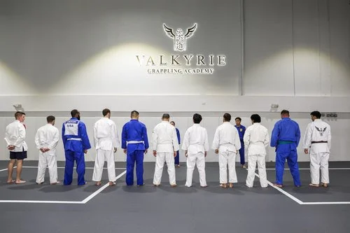 Valkyrie Grappling Academy facility image