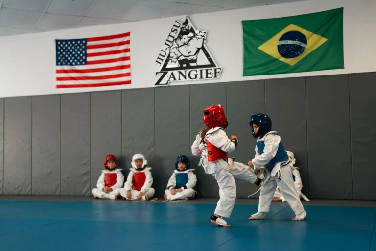 Zangief Jiu-Jitsu facility image