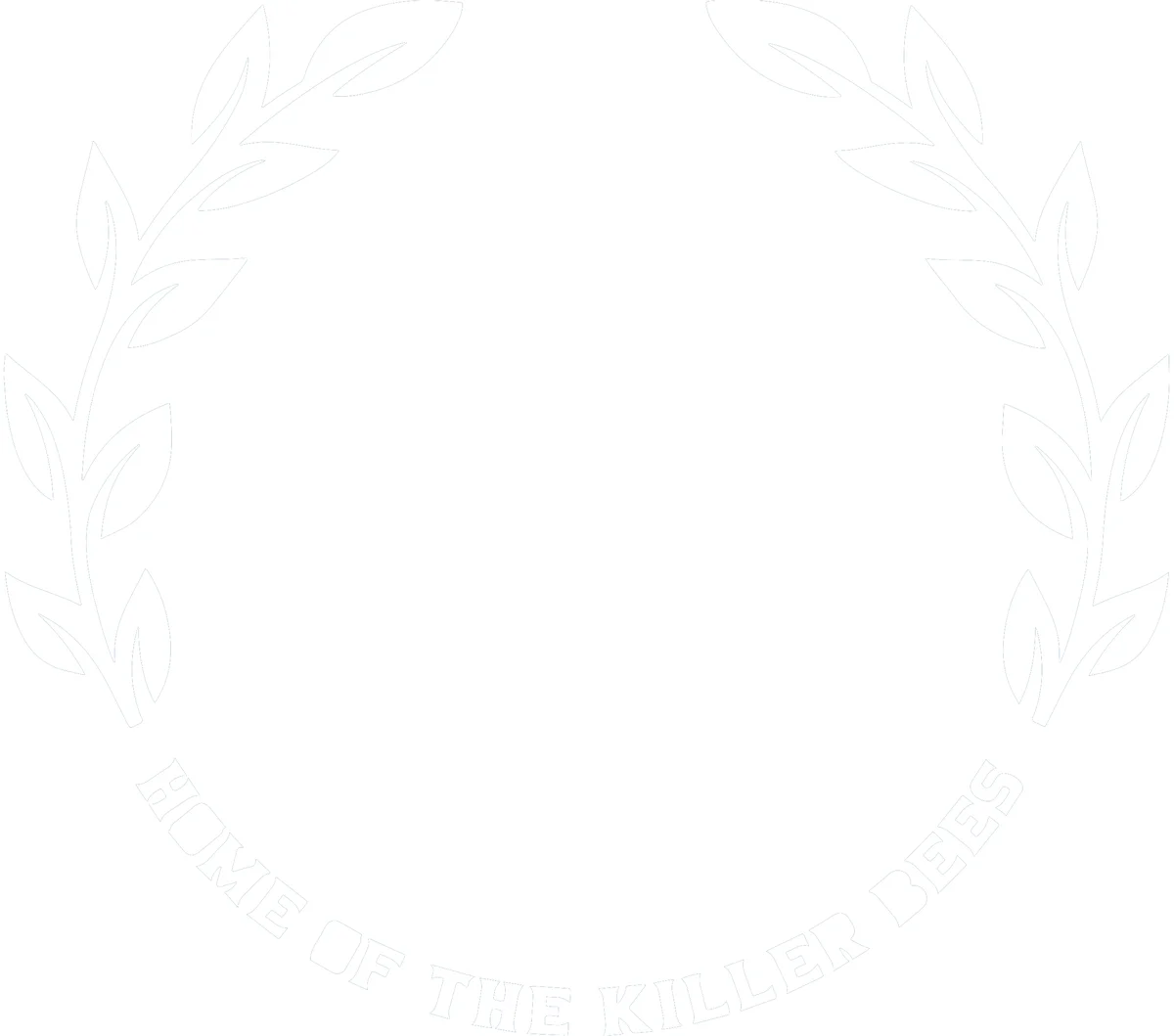 5 Boro FightHaus academy logo