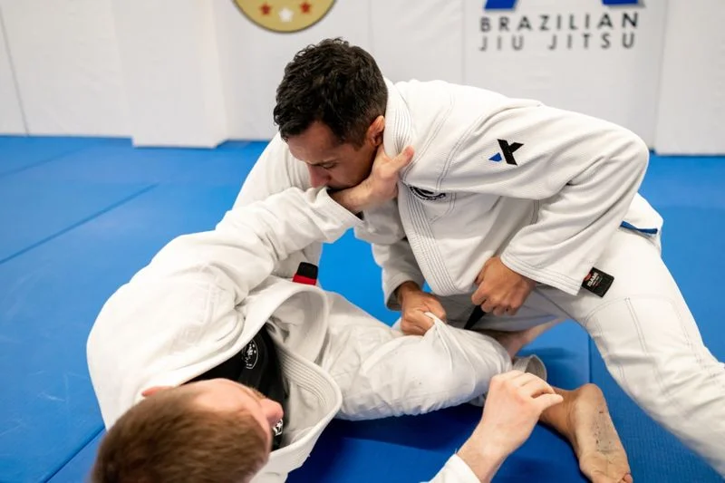 A-Force BJJ (Port Washington) academy logo