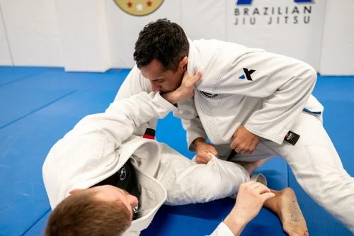 A-Force Brazilian Jiu Jitsu Academy - Manhasset facility image