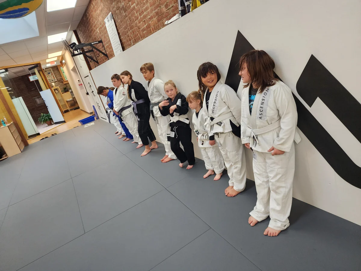 Ascended Academy of Jiu-jitsu & Yoga visual