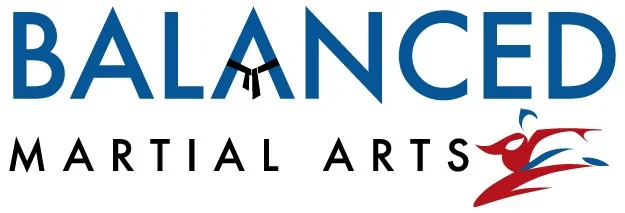 Balanced Martial Arts academy photo