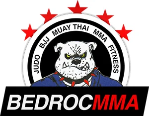 Bedroc MMA academy photo